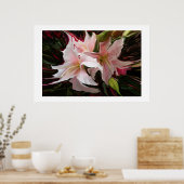 「スター威厳のある」プリント ポスター (キッチン)