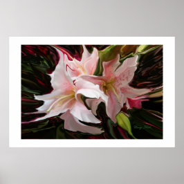 「スター威厳のある」プリント ポスター