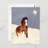 スター走ライト ポストカード (正面/裏面)