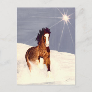スター走ライト ポストカード