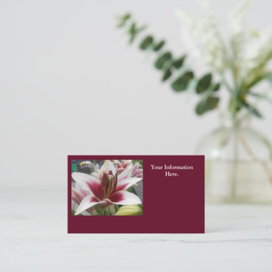 スター·ガザー 名刺 (スタンド正面)