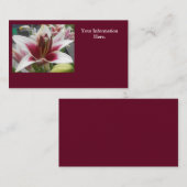 スター·ガザー 名刺 (正面/裏面)