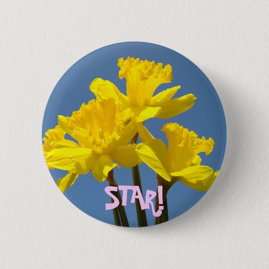 スター!ボタン 黄色い輝く水仙の花 缶バッジ (正面)