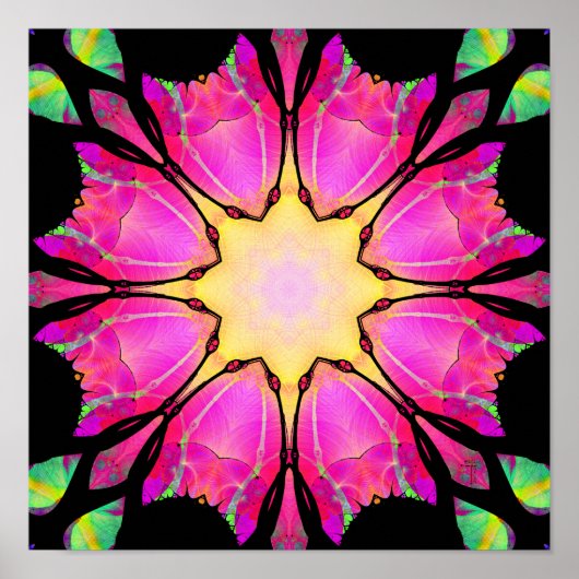 スター(12インチx 12インチ)アートプリントポスター ポスター (正面)