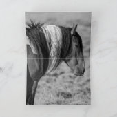 スタ色彩の鮮やかリオンの野誇りを持った生馬グリーティングカード カード (内部)