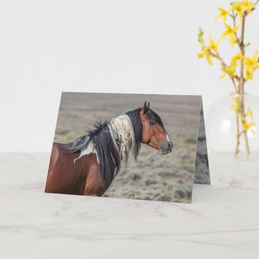 スタ色彩の鮮やかリオンの野誇りを持った生馬グリーティングカード カード (黄色い花)