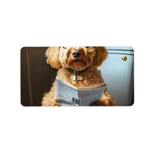 スチトル–6 ラベル (正面)