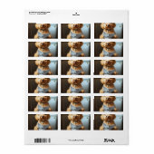 スチトル–6 ラベル (フルシート)