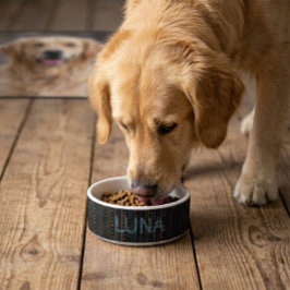 スチパーソナライズされたカンジナビアフォークアートペットボウル ボウル