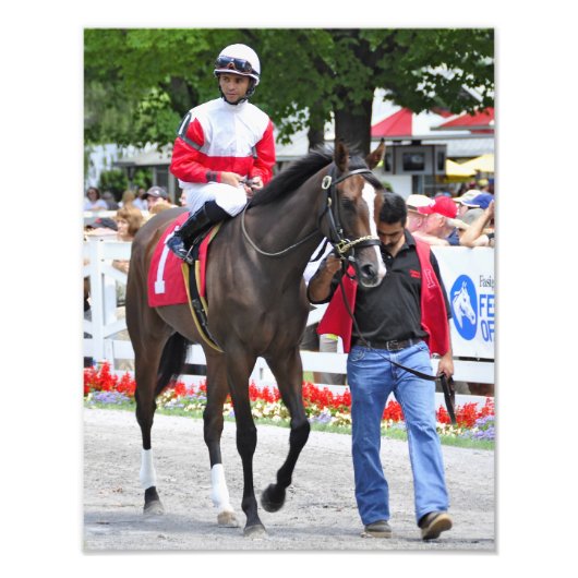 スチュアート・ジャニーのデコーダ フォトプリント            (正面)