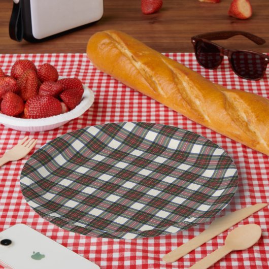 スチュワートドレススコティッシュクランタータンチェック ペーパープレート (ピクニック)