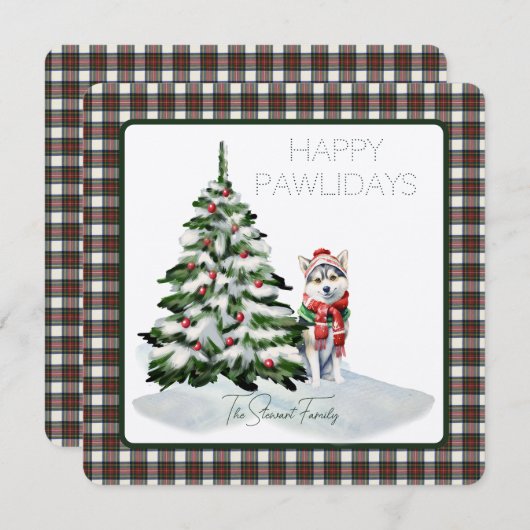 スチュワートドレスモダンタータンチェックハッピーパウィデイズドッグ (正面/裏面)