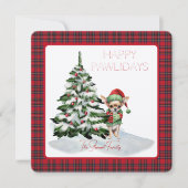 スチュワート王室のタータンチェックハッピーパウィデイズドッグ (正面)