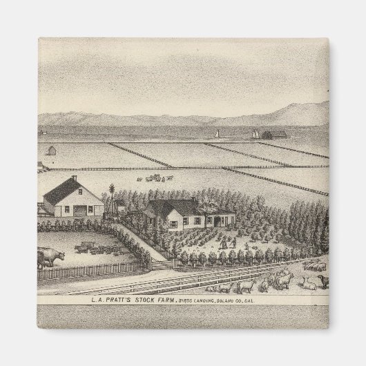 スチュワート・ファーム・プラット マグネット (正面)