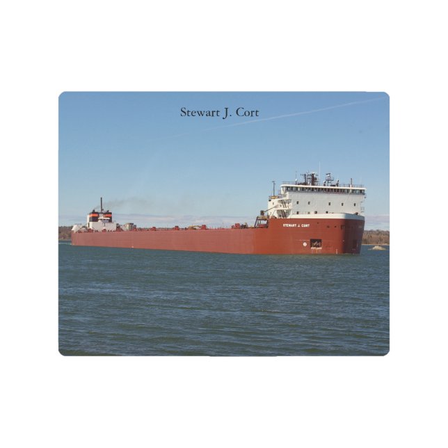 スチュワートJ.コルト金属壁芸術 メタルプリント (正面)