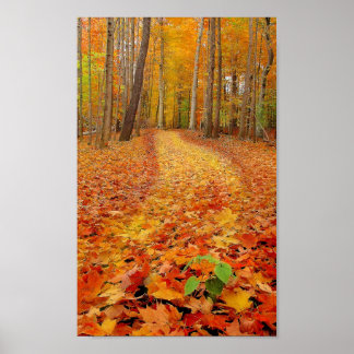 スチルグリーン、プリント ポスター