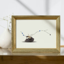 スチルライフシーシェルとアイボリーコラージュ