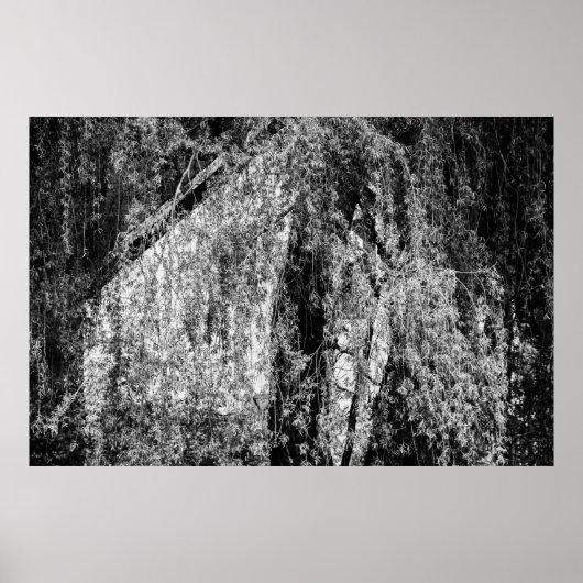 スチルライフホームポスター ポスター (正面)