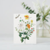 スチル魅力的ライフ花はがき ポストカード (スタンド正面)
