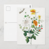 スチル魅力的ライフ花はがき ポストカード (正面/裏面)