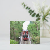 スチームトレイン – Tal-y-llyn Railway - ポストカード (スタンド正面)