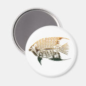 スチームパンクの魚磁石 マグネット (正面/裏面)