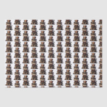 スチームパンクキャットキットンレッドトップハット
