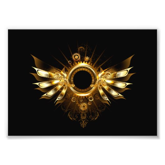 スチームパンク翼 フォトプリント            (正面)