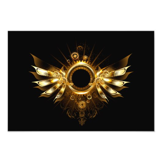 スチームパンク翼 フォトプリント            (正面)