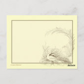 スチームパンク飛行船ツアーはがき ポストカード (裏面)