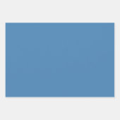 スチールブルーグレイ無地のカラー ラッピングペーパーシート (正面2)