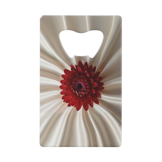 スチールボトルオープナーとジャパナーゼ色 クレジットカード栓抜き (正面)