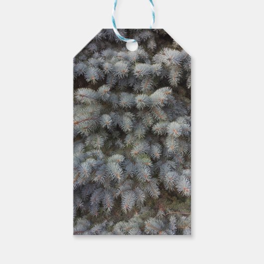 スチール、グレー、グリーン、ブルーのスプルースの上品なメディア ギフトタグ (正面)