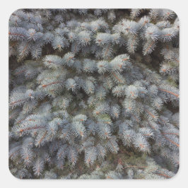 スチール、グレー、グリーン、ブルーのスプルースの上品なメディア スクエアシール