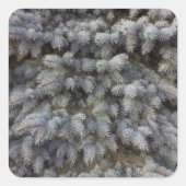 スチール、グレー、グリーン、ブルーのスプルースの上品なメディア スクエアシール (正面)