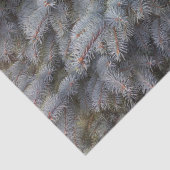 スチール、グレー、グリーン、ブルーのトウヒの上品なラッピング 薄葉紙 (詳細)