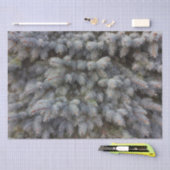 スチール、グレー、グリーン、ブルーのトウヒの上品なラッピング 薄葉紙 (クラフト)