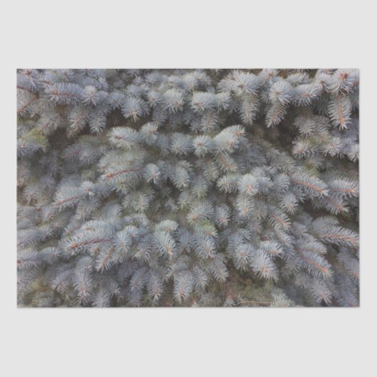 スチール、グレー、グリーン、ブルーのトウヒの上品なラッピング 薄葉紙 (正面)