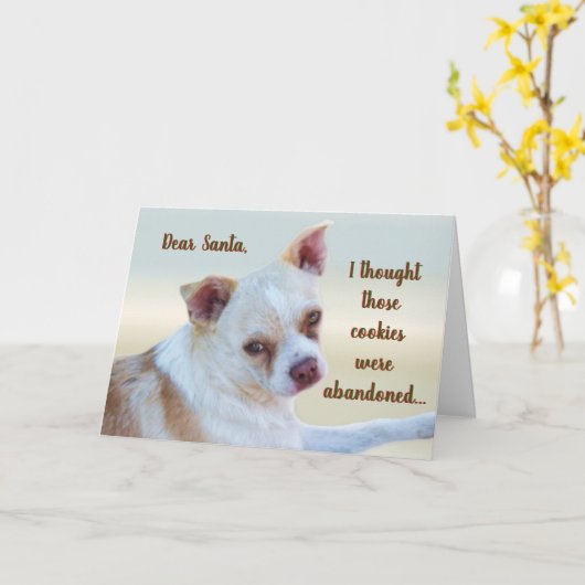 スッシーおもしろいムットいけなドッグのユーモアのクリスマスカード カード (黄色い花)