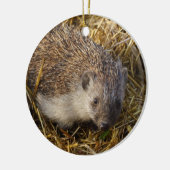 スッブル場で愛らしいハリネズミ セラミックオーナメント (左)