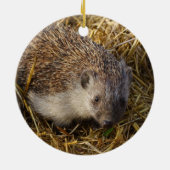 スッブル場で愛らしいハリネズミ セラミックオーナメント (裏面)