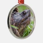 スッポン メタルオーナメント (右)