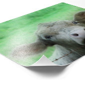 ステアが柵の上を覗く フォトプリント            (角)