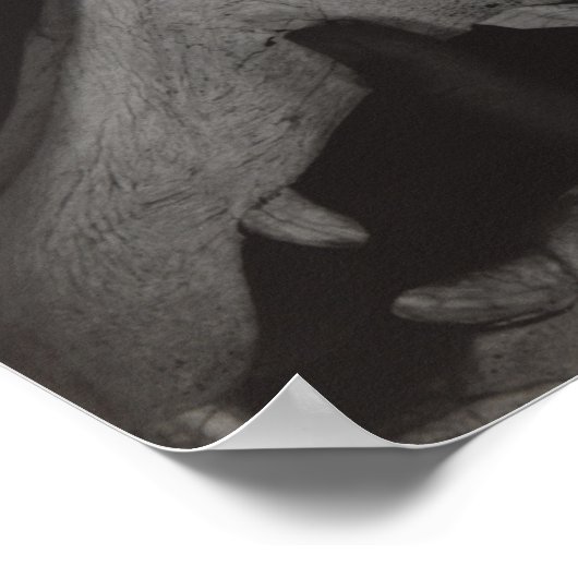 スティエグリッツジョージアオキーフェハンズホーススカル写真 ポスター (角)