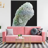 スティグマの走査型電子顕微鏡イメージ(ペント) キャンバスプリント (インサイチュ (リビング))