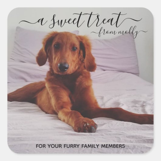 スティッカーを引き付ける スクエアシール (正面)