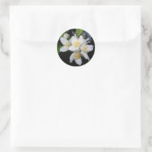 スティッカー ラウンドシール (バッグ)