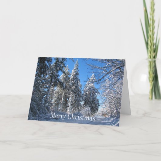 スティッキースノー32 ～カード シーズンカード (正面)