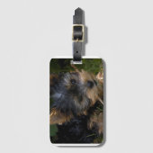 スティック付きヨークシャーテリア ラゲッジタグ (正面縦)