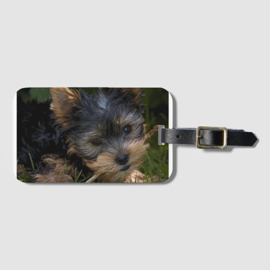 スティック付きヨークシャーテリア ラゲッジタグ (正面横)